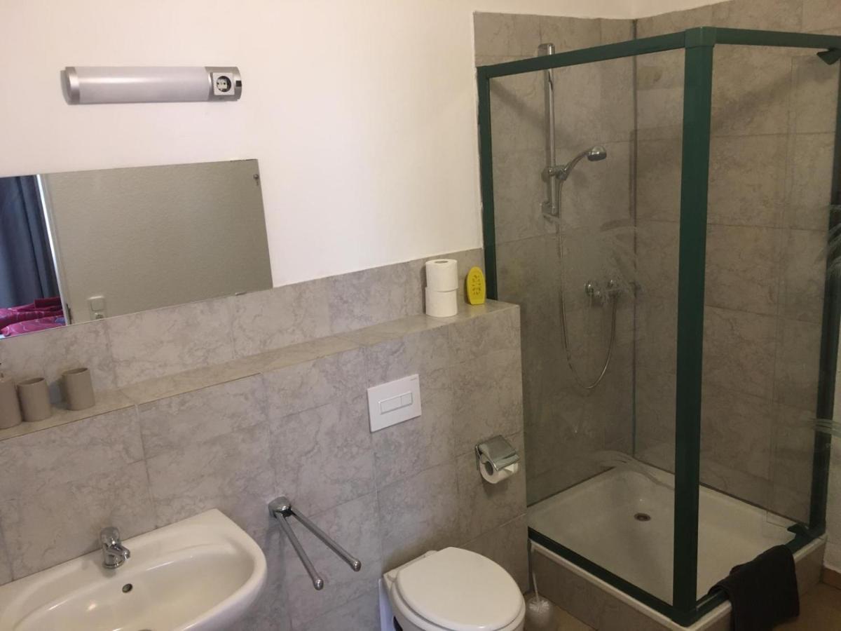 Pension Zur Alten Gaertnerei Райхенбах-ім-Фогтланд Екстер'єр фото